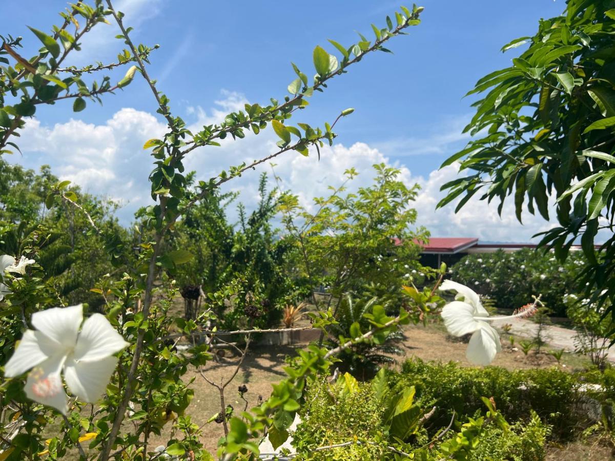 La Plumerias Moalboal Exterior foto